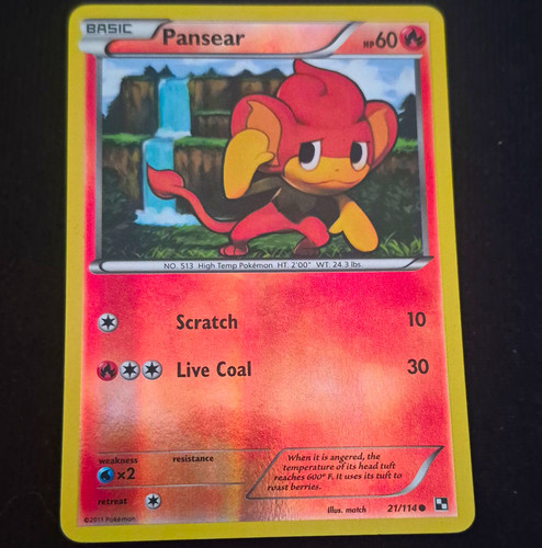 The pokémon company - company,