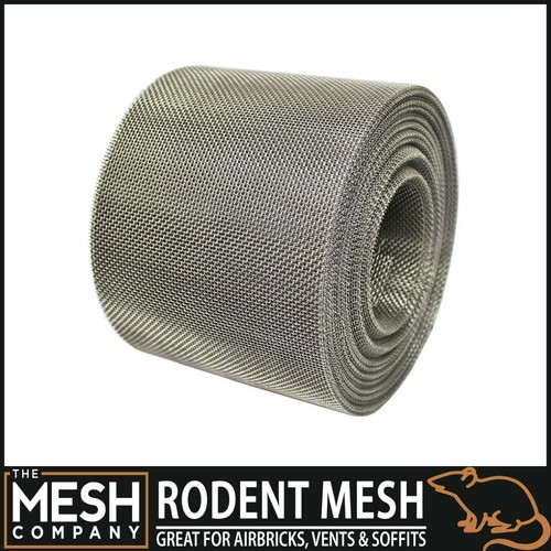 The mesh company animal rodent - mesh,