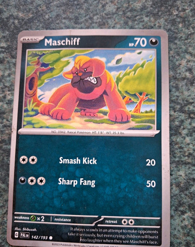 The pokémon company maschiff - the,