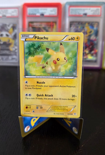 The pokémon company pokemon - pokémon,