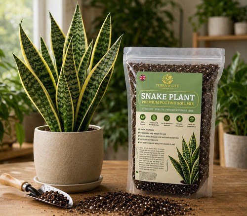 Terra life company premium - terra,