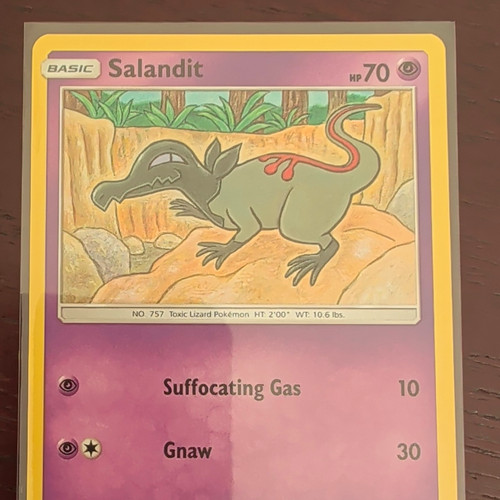 The pokémon company - the,