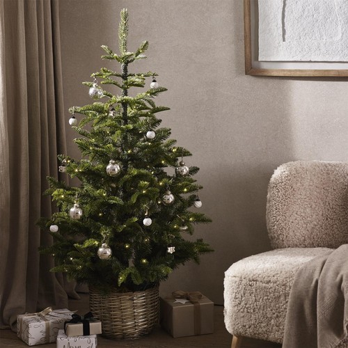 The white company - white, 4.5ft
