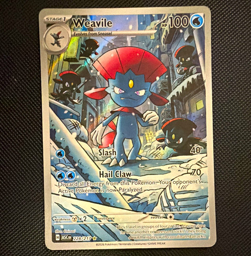The pokémon company - company,