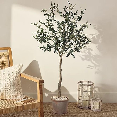 The white company - company, olive