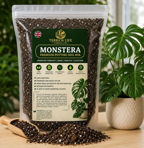 Terra life company monstera - life,